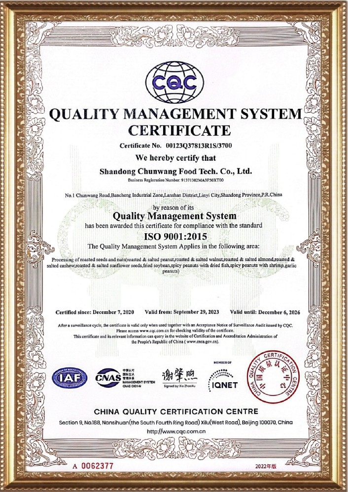 ISO9001